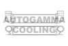 AUTOGAMMA 103897 Intercooler, charger